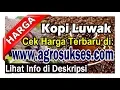|Update 2024| Harga Kopi Luwak RP, Pusat Informasi Terbaru, Penjual Pembeli | Agro Smart