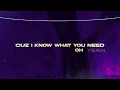 R3HAB - My Pony (Kryder Remix) (Official Lyric Video)
