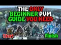 Full In Depth Beginner PvM Guide 2022 - PvM Progression