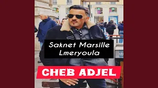                  دندنها