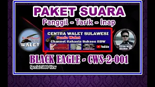 Download SEDOT SEGERA ‖ SUARA PANGGIL WALET BLACK EAGLE BERKUALITAS 2021 CENTRA WALET | SP - ST - SI . MP3