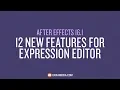 12 New Features For Expression Editor in After Effects 16 1
