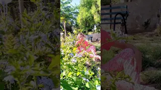     اللهم إنها  ابنتي   هي أميرتي   هي صغيرتي   هي سعادتي   هي ملاكي   هي حياتي هي مدللتي هي كل شيء دندنها