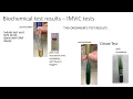 MICRO Bacterial Unknown Student Training