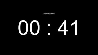 41 Seconds Countdown Timer