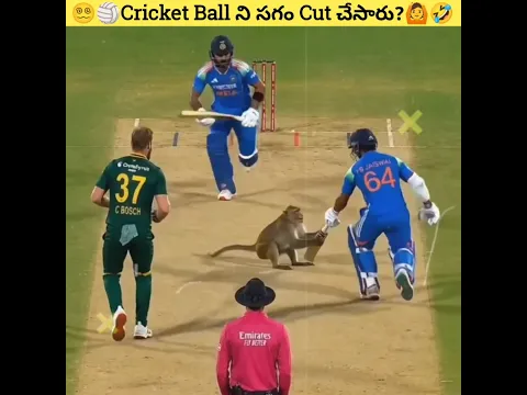 😳Cricket లో జరిగిన వింత సంఘటన!🥶 || Cricket Telugu || #shorts #trending #viralshorts