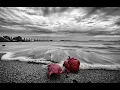 Out Of Town -  Cantoma