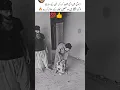 Download Lagu mehnat ke liye dimagh zarori hai#ytshorts  #shorts #shortvideos #trendingshorts #motivation  💯👍