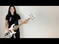 Hatebreed - “Destroy Everything” ft. Vibing Cat 🐱 [Bass Cover]
