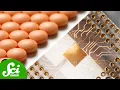 The Wild Science Behind Extended Release Medications