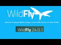 Adding Jdbc Drivers To Wildfly