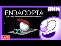 Enda-MORE-ia more Endacopia