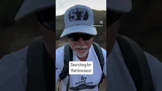 Searching for rattlesnakes and found a nice Red Diamond Rattlesnake on our hike. #57adventures