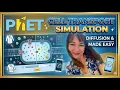 How to Master Cell Transport PhET Simulation Walkthrough