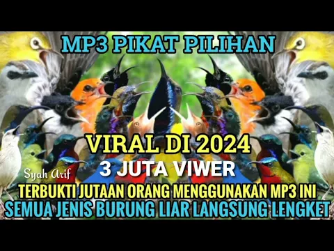 Download MP3 Suara Pikat Semua Burung kecil Ribut Mp3 Paling Ampuh ! Yang Ngabisin Burung Liar 2024