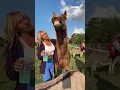 Kindly Myers is live