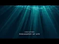 Sabr Alptekin - Philosophy of Life