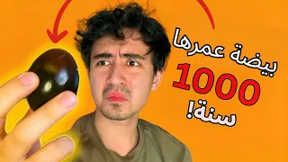أكلت بيضة عمرها ١٠٠٠ سنة! (لونه أسود 🤢)