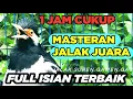 Lagu Masteran Jalak Suren Isian Mewah Gacor Full Isian Tembakan Variasi Kreasi Baru