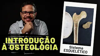 SKELETAL SYSTEM: INTRODUCTION TO OSTEOLOGY - PRACTICAL CLASS WITH PROF. ANDRÉ OLIVEIRA