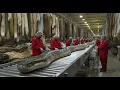 Lagu Inside the Snake Leather Factory: From Raw Skin to Luxury Bags, Shoes \u0026 Belts (Full Process)