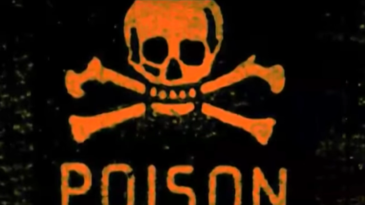 Rancid - Poison [MUSIC VIDEO]