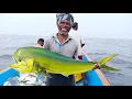 Download Lagu LINE FISHING - MAHI MAHI FISHES CAUGHT IN THE SEA
