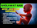 Download Lagu Sholawat Ibu Hamil Agar Bayi Sehat Sempurna-Doa Agar Janin Kuat \u0026 Berkembang Sehat Ibu Hamil