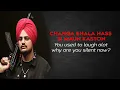 295 (Lyrics + ENGLISH Translation / Meaning) | Sidhu Moose Wala | The Kidd | Moosetape