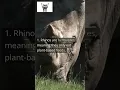 The diet of a Rhino PLEASE LIKE SUBSCRIBE