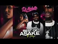 DJ Michelle - Best Of Asake Mixtape (2026)