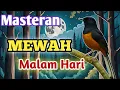 Download Lagu murai batu gacor AMPUH buat PANCINGANmurai batu agar bunyi JADIKAN burung muraigacor EMOSI