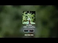 王艷薇 Evangeline【停在那邊】 Music Lyrics 