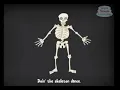 The Skeleton Dance | Classroom Fun | Super Simple Learning