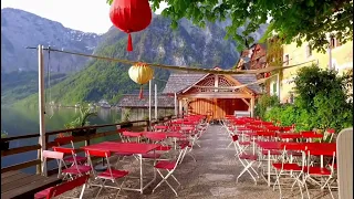 نشيد يا إمام الرسل المنشد محمد طارق 