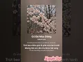 Download Lagu Cô bé mùa đông