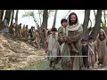 Serenata para mi amado Jesús