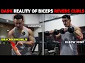 Reverse Curls Explained Targeting Biceps vs Forearms