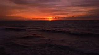 تامر عاشور   احلام بيك افتكرت احققها بطي  دندنها