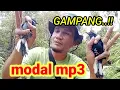 Lagu TRIK MIKAT BURUNG KACER TANPA PIKAT #mikatburung #burungkacer #pemikatcupu #birdtrap