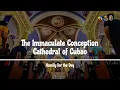 HOMILY FOR THE DAY | Feast of the Nativity of the Blessed Virgin Mary