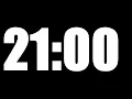 21 MINUTE TIMER LOUD ALARM