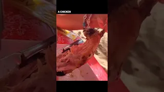 Tastes Like CHICKEN?🐓😳#strangefoods #beachbar #taste #foodtruck #shorts