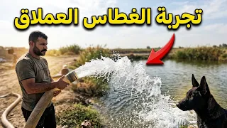 وصل القائد الجديد (شجاع )/ زراعة الجزر 🥕العراقي