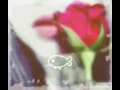 Download Lagu Momo Geshia ( Seandainya aku punya sayap2 )