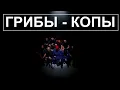 Грибы — Копы