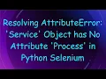 Resolving AttributeError Service Object has No Attribute Process in Python Selenium