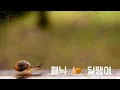 달팽이  - 패닉 -  (가사有)