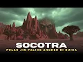 Lagu Socotra ‼️Pulau Angker Yang Dipenuhi Jin, Mantra Kuno Dan Pohon Darah Naga