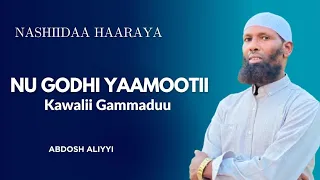 Nashiidaa Kawalii Gammadu 